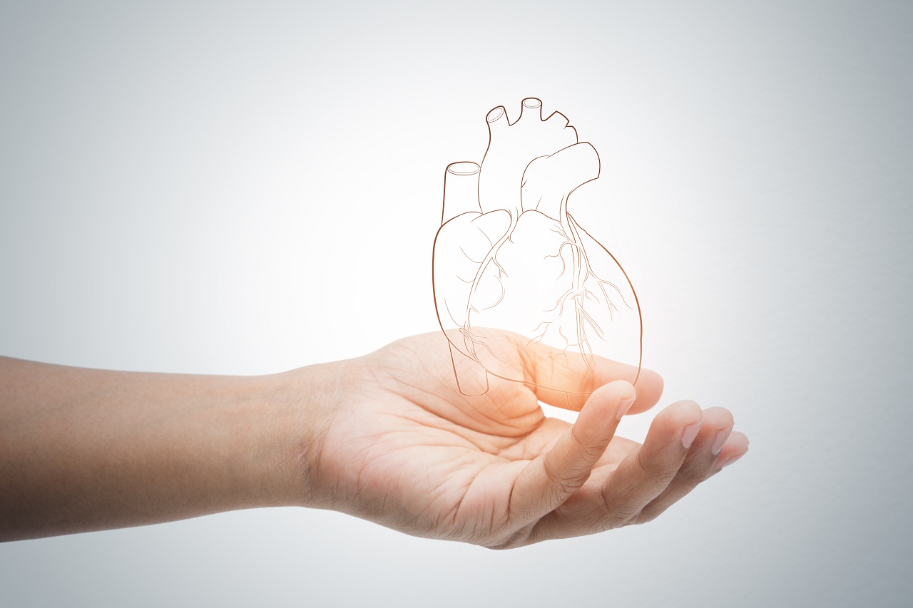 A hand holding an illustration of a heart