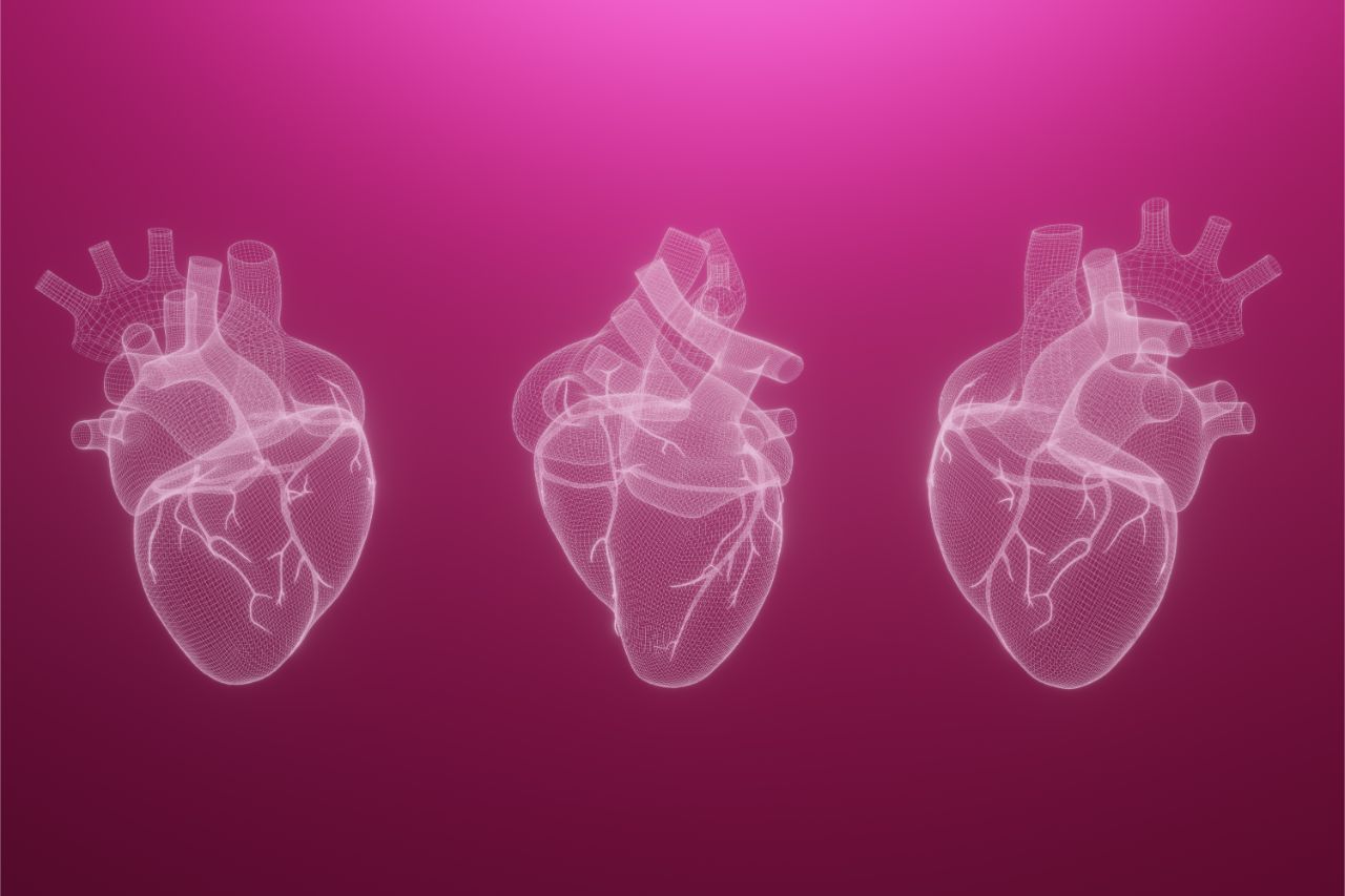 Graphics of a human heart