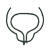 icons-prostate